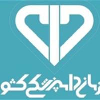 کولیوند: دامپزشکان همواره یاریگری صادق برای جمعیت هلال‌احمر هستند