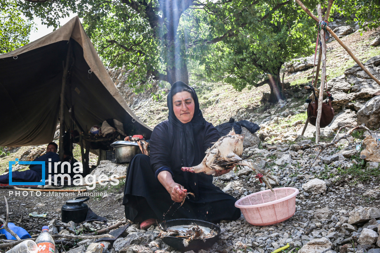 زندگی عشایری ایل بختیاری