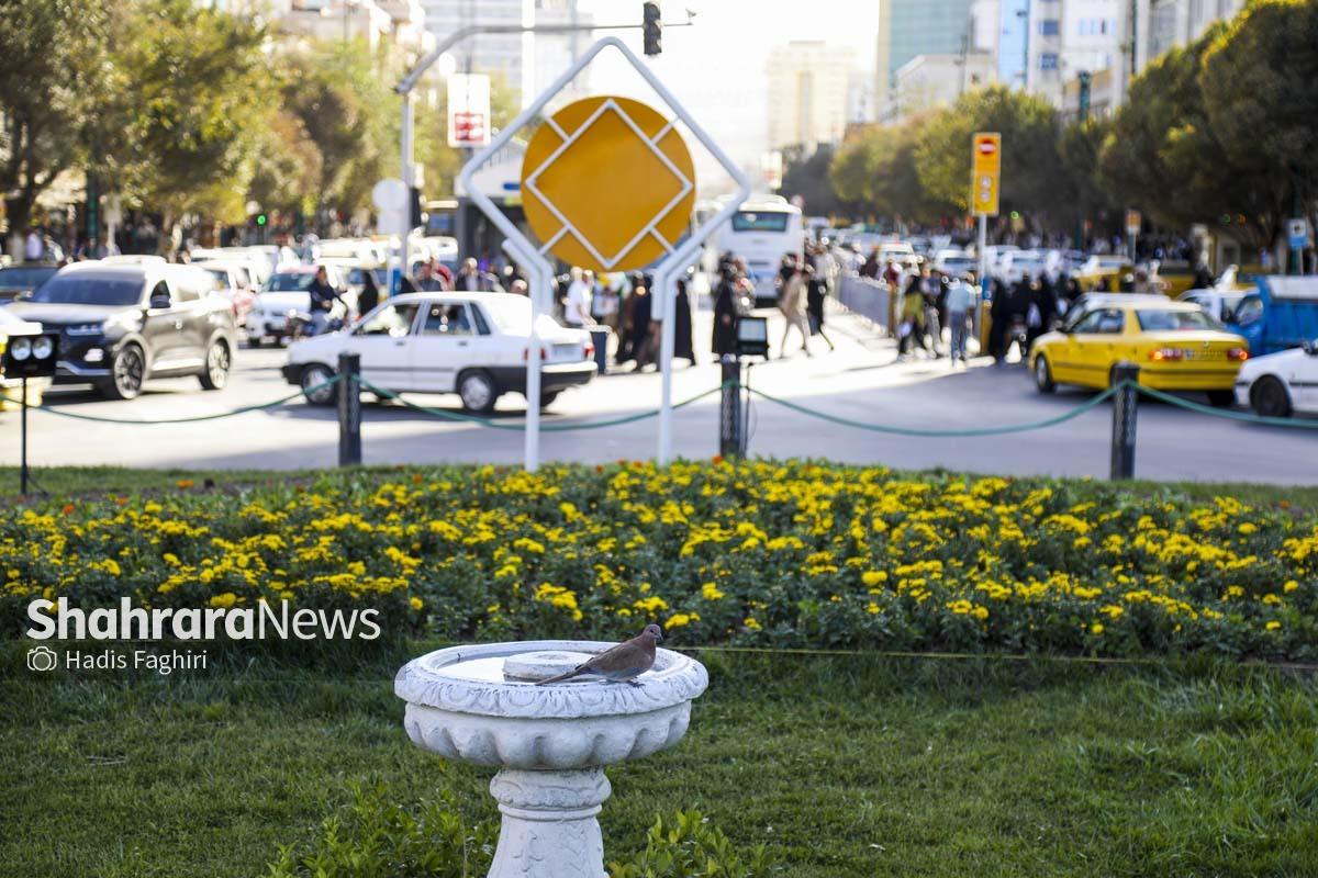 پاییز بهاری مشهد