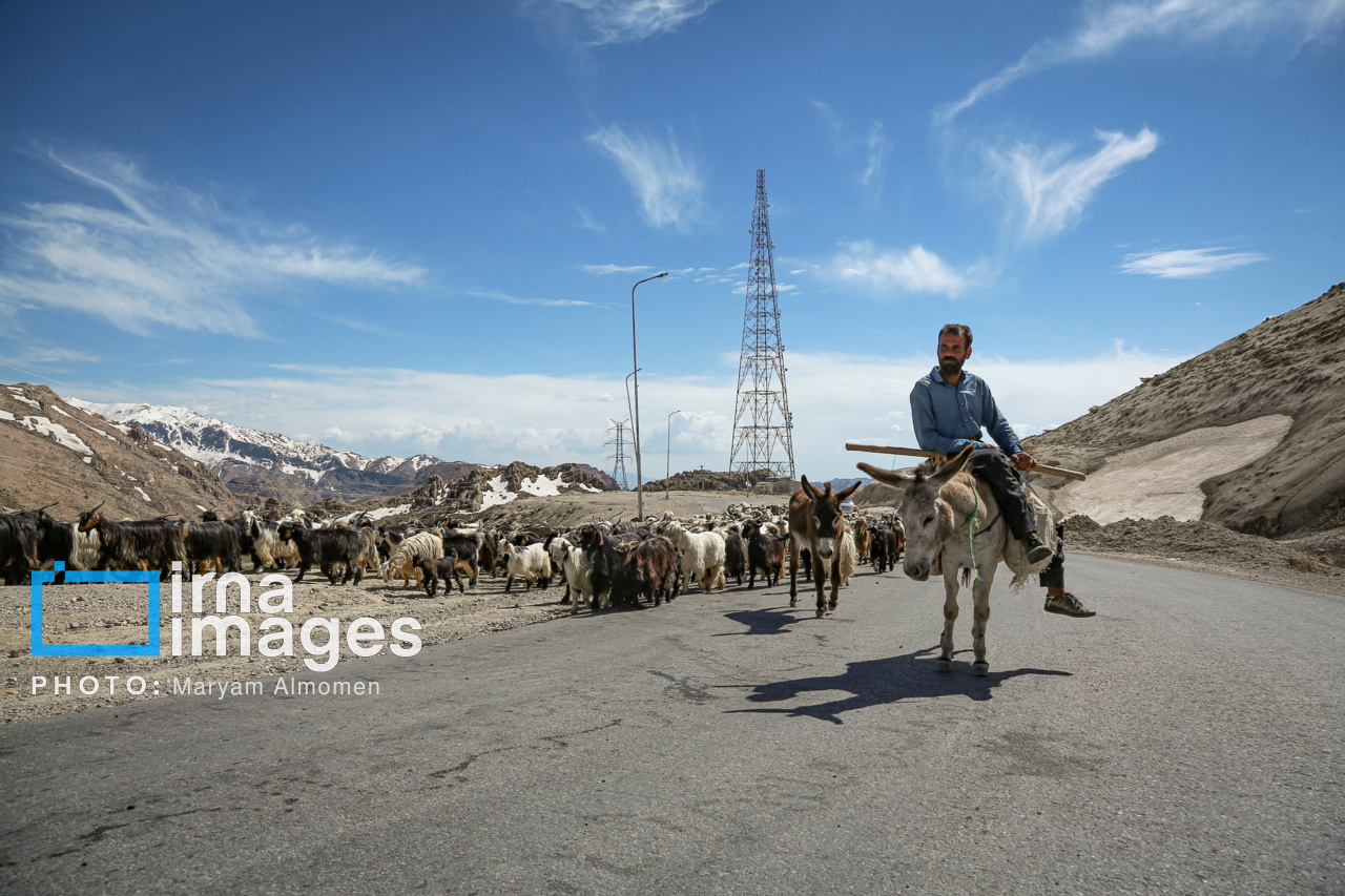 زندگی عشایری ایل بختیاری