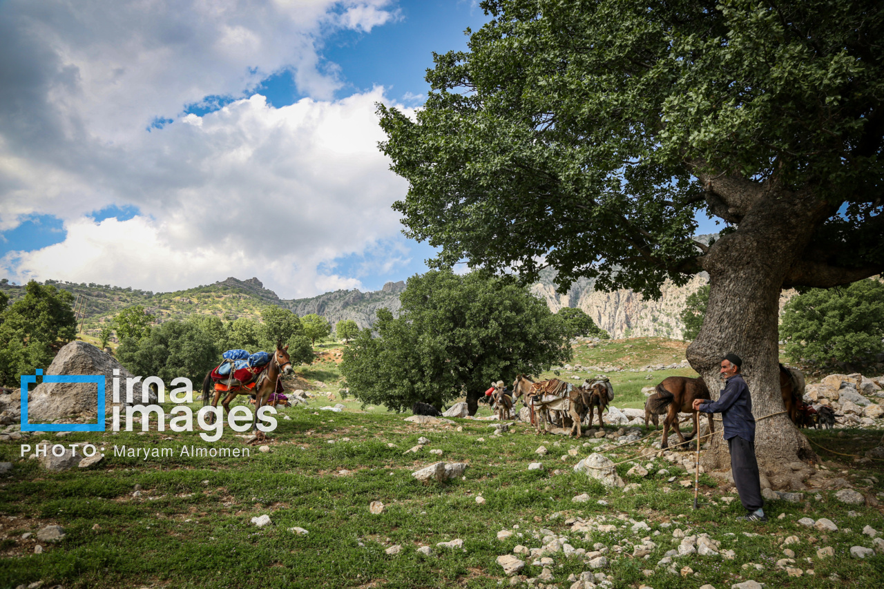 زندگی عشایری