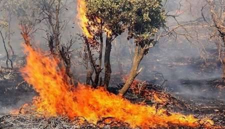 آتشسوزی منطقه حفاظت شده هفتنان سردشت
