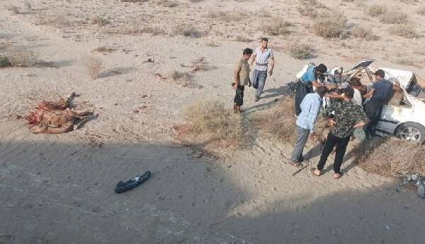 مرگ یک جوان در تصادف با شتر