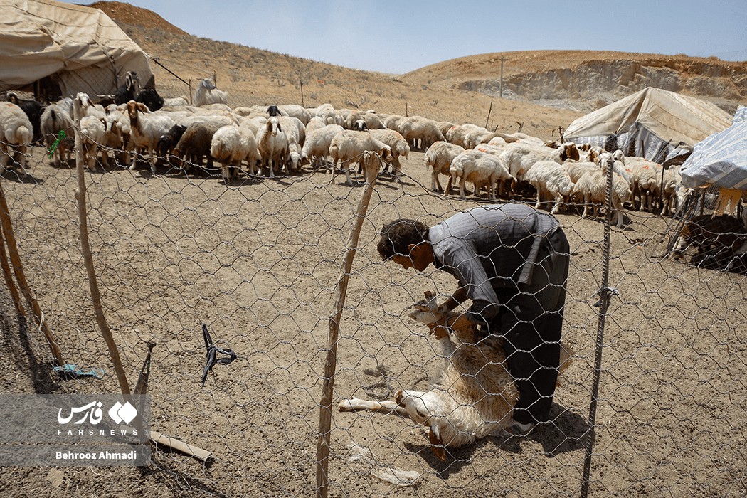 زندگی عشایر کرمانشاه