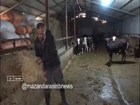 آواز این روستا را باید شنید