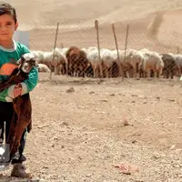 تصاویری دیدنی از زندگی عشایر کرمانشاه