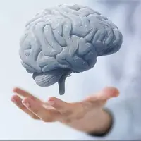 ۵ خوراکی که مغزتان را قوی‌تر و حافظه‌تان را بهتر می‌کند