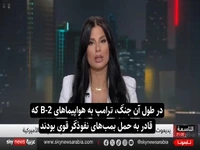 رسانه اسرائیلی: ایران هواپیماهایی شبیه بی-۲ در مقیاس کوچک را توسعه داده است