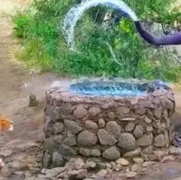 نمایش قدرت فیل؛ پاشیدن آب بر گله شیرها