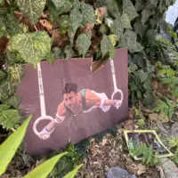 فیلم/ واکنش نماینده مجلس به «بی‌احترامی» به قهرمان ژیمناستیک