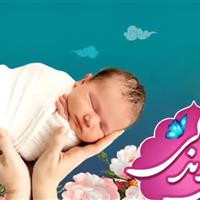 ۲۵۰ اثر به دبیرخانه جشنواره «نبض زندگی» در یزد واصل شد