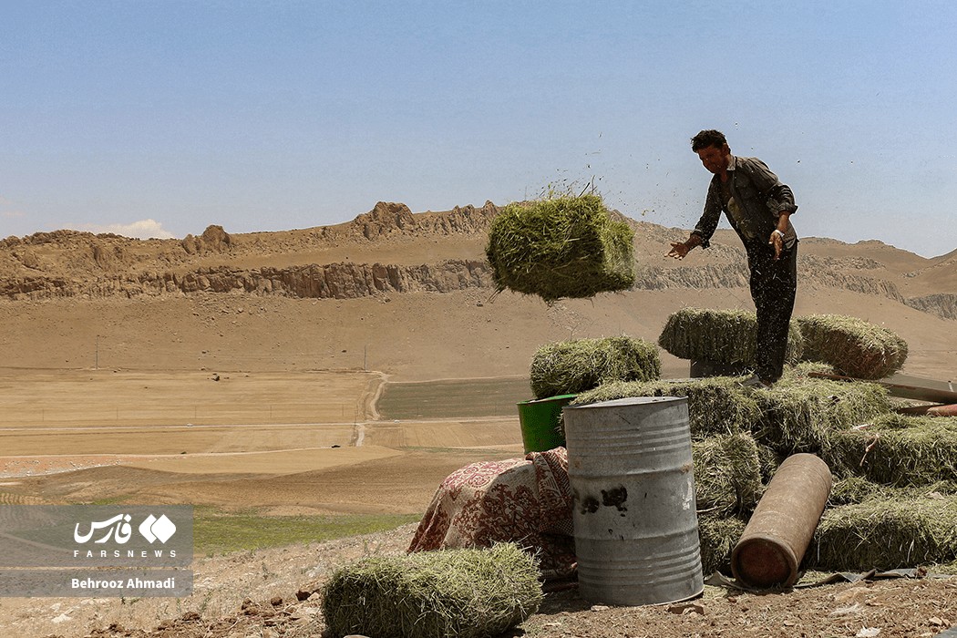 زندگی عشایر کرمانشاه