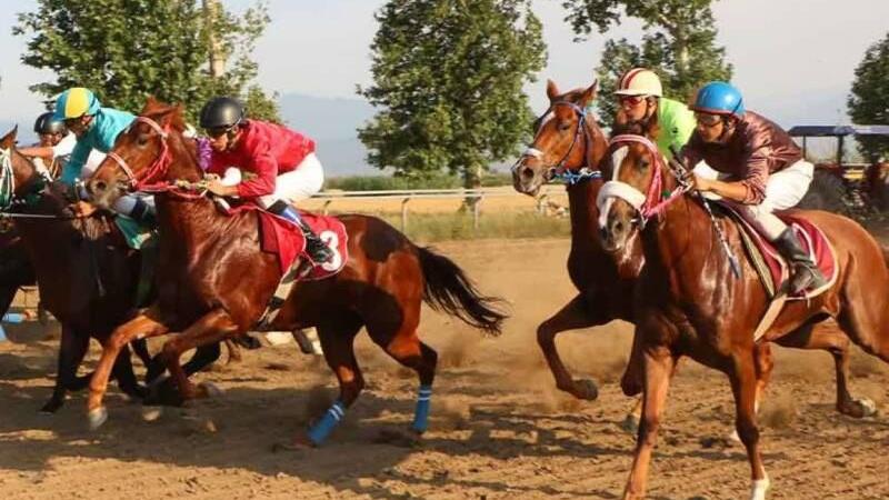 برترین‌های هفته سوم کورس اسبدوانی پاییزه در یزد مشخص شدند/ استاندار، میهمان ویژه