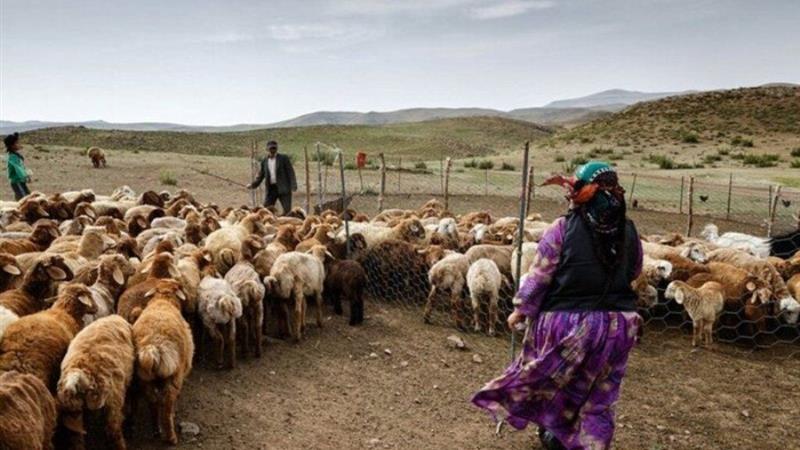 اقتصاد روستایی عشایری، ظرفیت‌های بکر استان اردبیل در مسیر توسعه