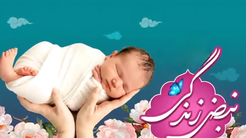 ۲۵۰ اثر به دبیرخانه جشنواره «نبض زندگی» در یزد واصل شد