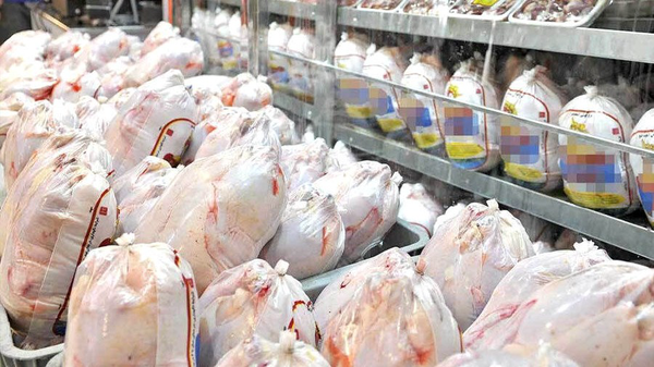 ثبات نسبی و کاهش قیمت مرغ در خراسان رضوی