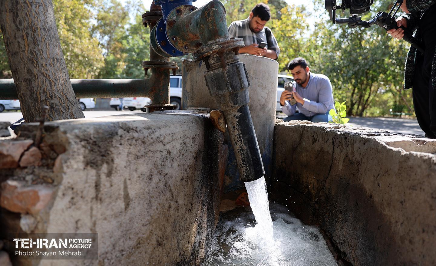 عملیات احیای پارک جنگلی چیتگر