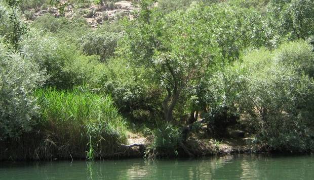 موتور تلمبههای غیرمجاز حریم رودخانه «کاکارضا» توقیف شدند