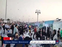 فیلم/ پرواز بادبادک‌ها در ساحل بوشهر