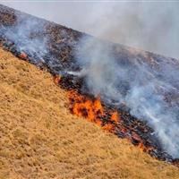مدیرکل منابع طبیعی اردبیل: کمتر از ۲ هکتار مرتع در اطراف تالاب نئور طعمه حریق شد