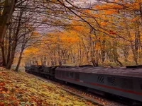 زیبایی مسیر ریلی تهران - شیرگاه در فصل پاییز
