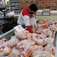 مدیرعامل اتحادیه مرغداران گوشتی علت افزایش قیمت مرغ را اعلام کرد
