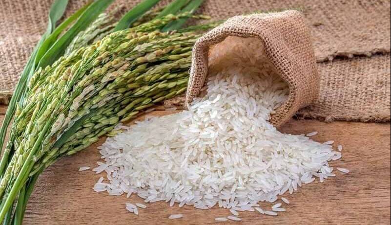 دلایل افزایش قیمت برنج پاکستانی در بازار چیست؟