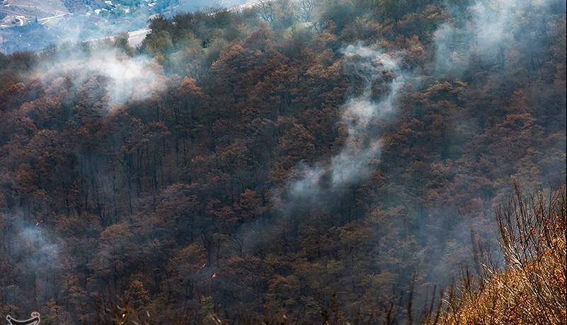زنگ خطر آتشسوزی در جنگلهای هیرکانی؛ افزایش دما در استان گلستان