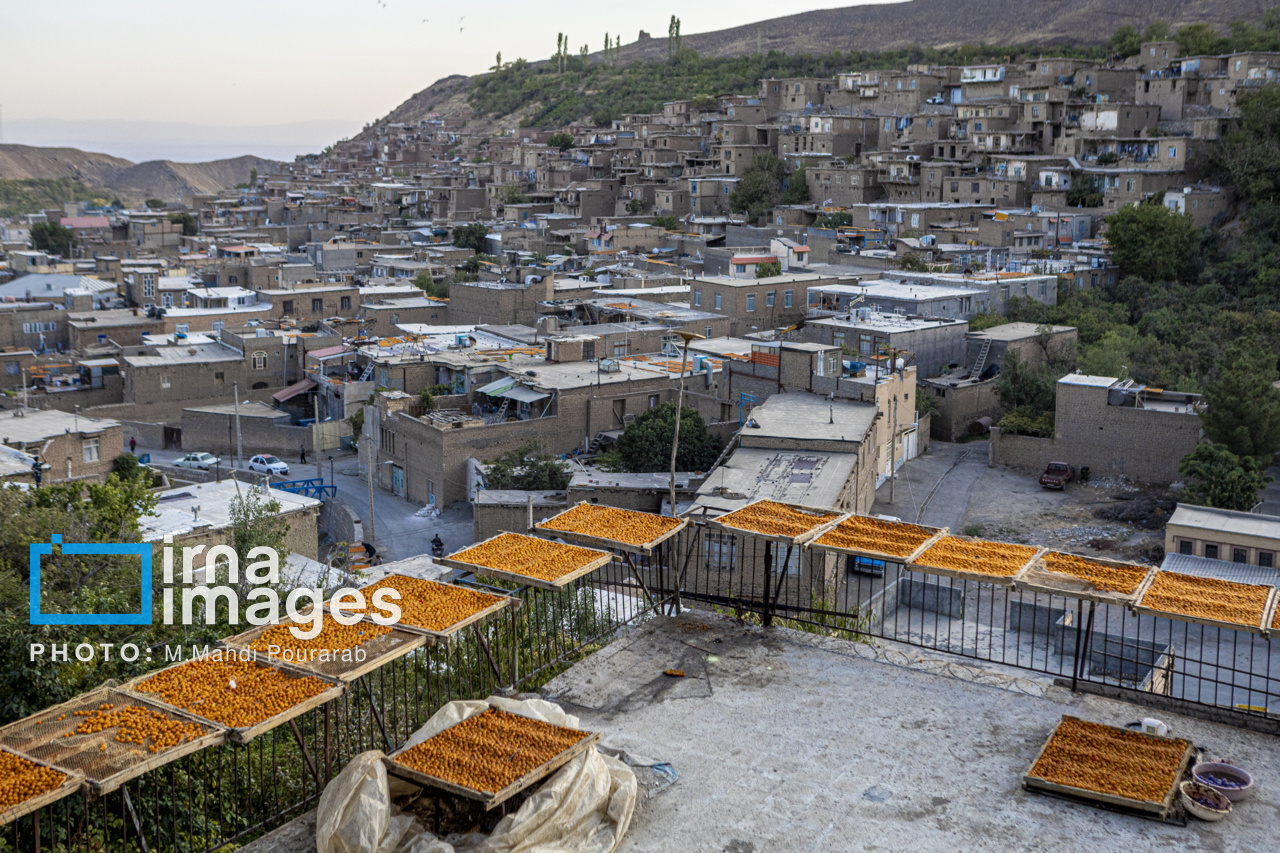 عکس/ خُرو؛ پایتخت آلوی ایران