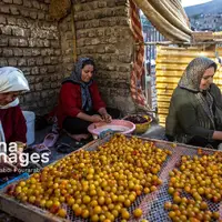 عکس/ خُرو؛ پایتخت آلوی ایران