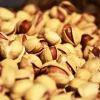 درآمد ارزی ۱.۷ میلیارد دلاری صادرات پسته