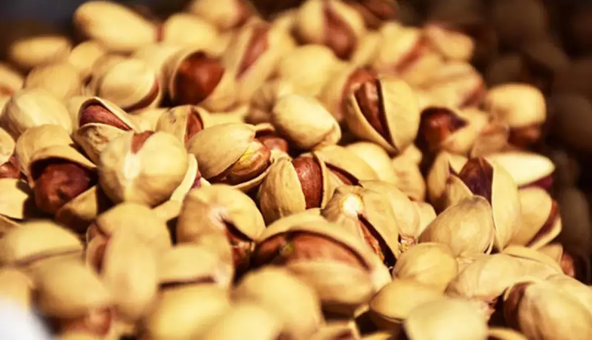 درآمد ارزی ۱.۷ میلیارد دلاری صادرات پسته