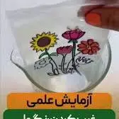 تا حالا دیدی یک نقاشی جلوی چشمات غیب بشه