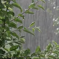 هوای گیلان از امشب دوباره بارانی می‌شود