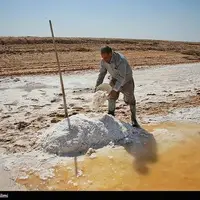 برداشت سنتی نمک در خراسان شمالی