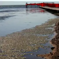 آقای نماینده ! از دریای در حال خشک شدن، نمی‌شود تهران را نجات داد!