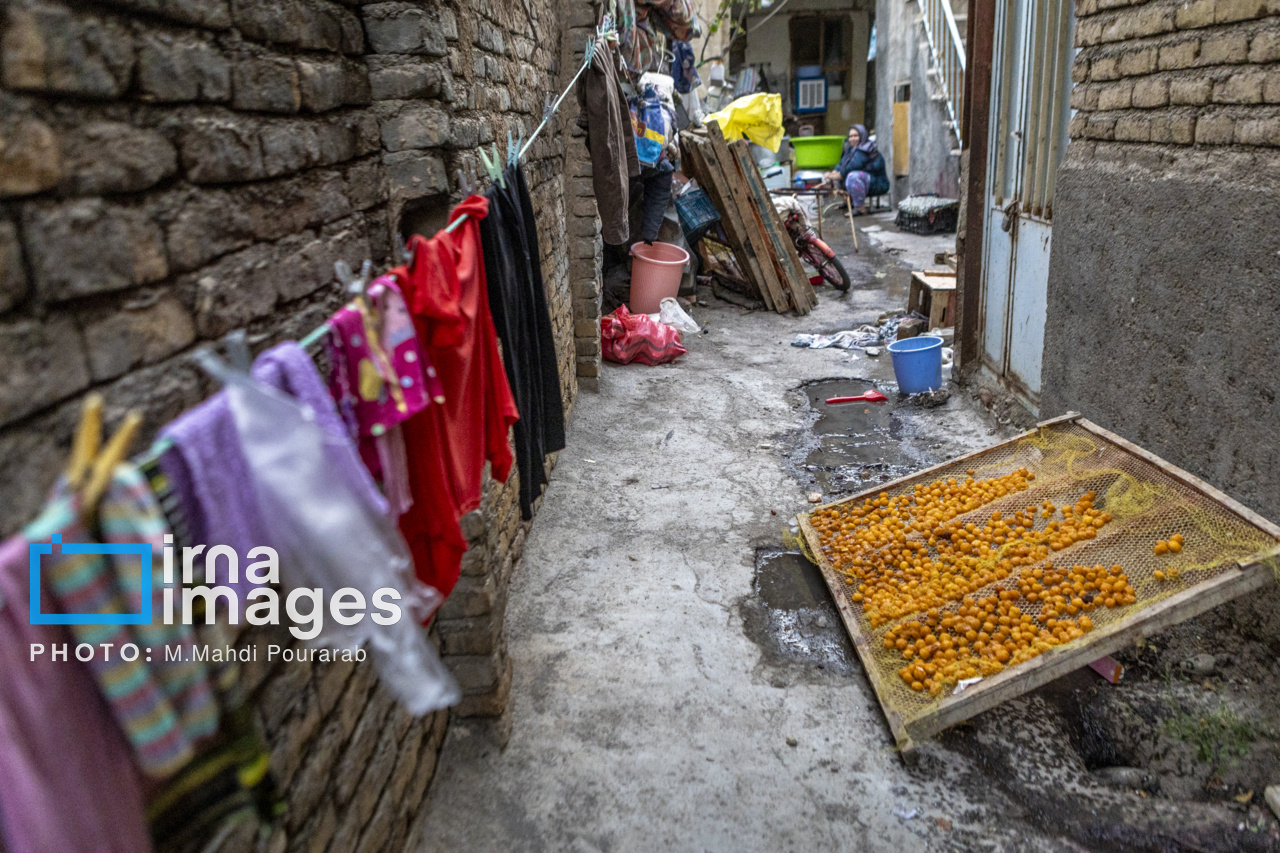 خرو؛ پایتخت آلوی ایران