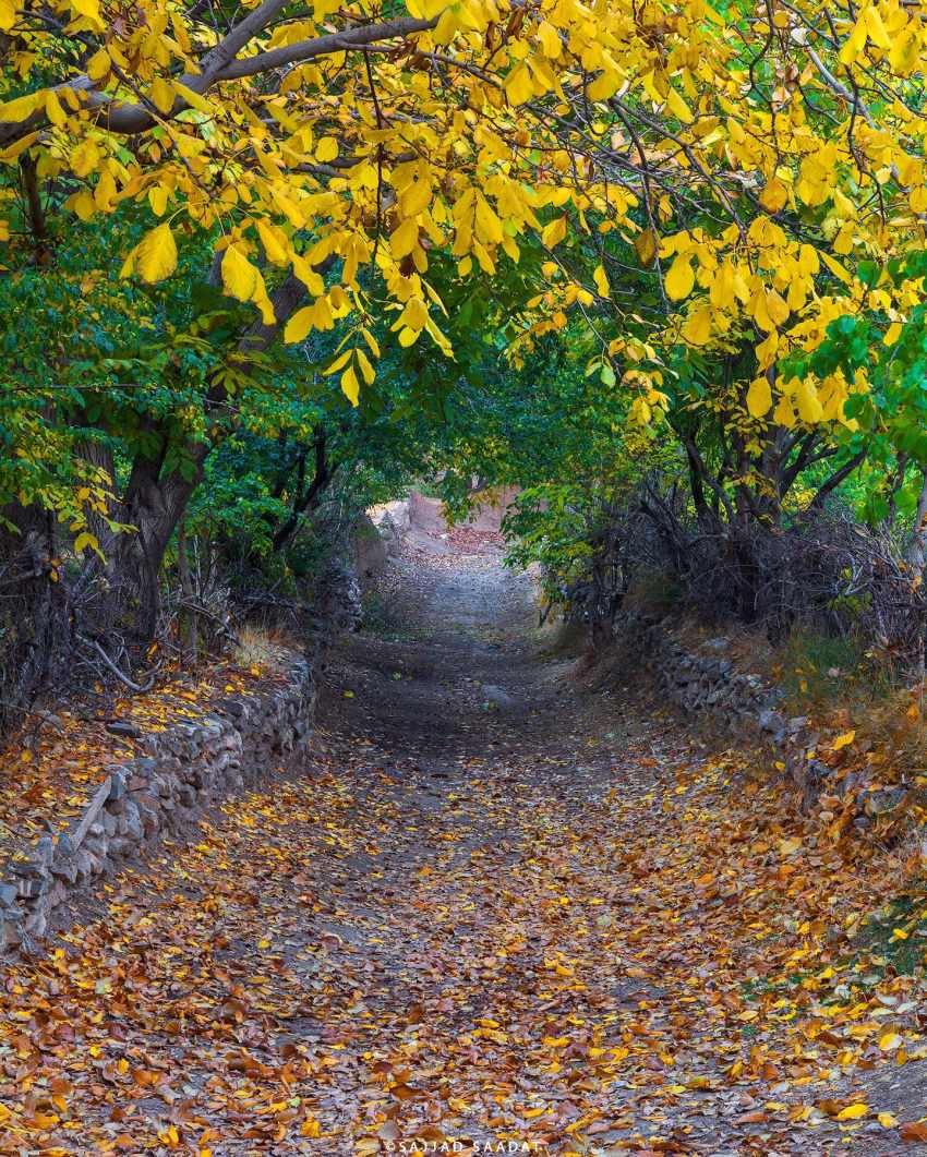 کوچه‌های رنگی خوانسار در پاییز