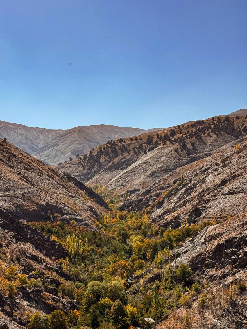 عکس/ طبیعت پاییزی روستای دهبار مشهد