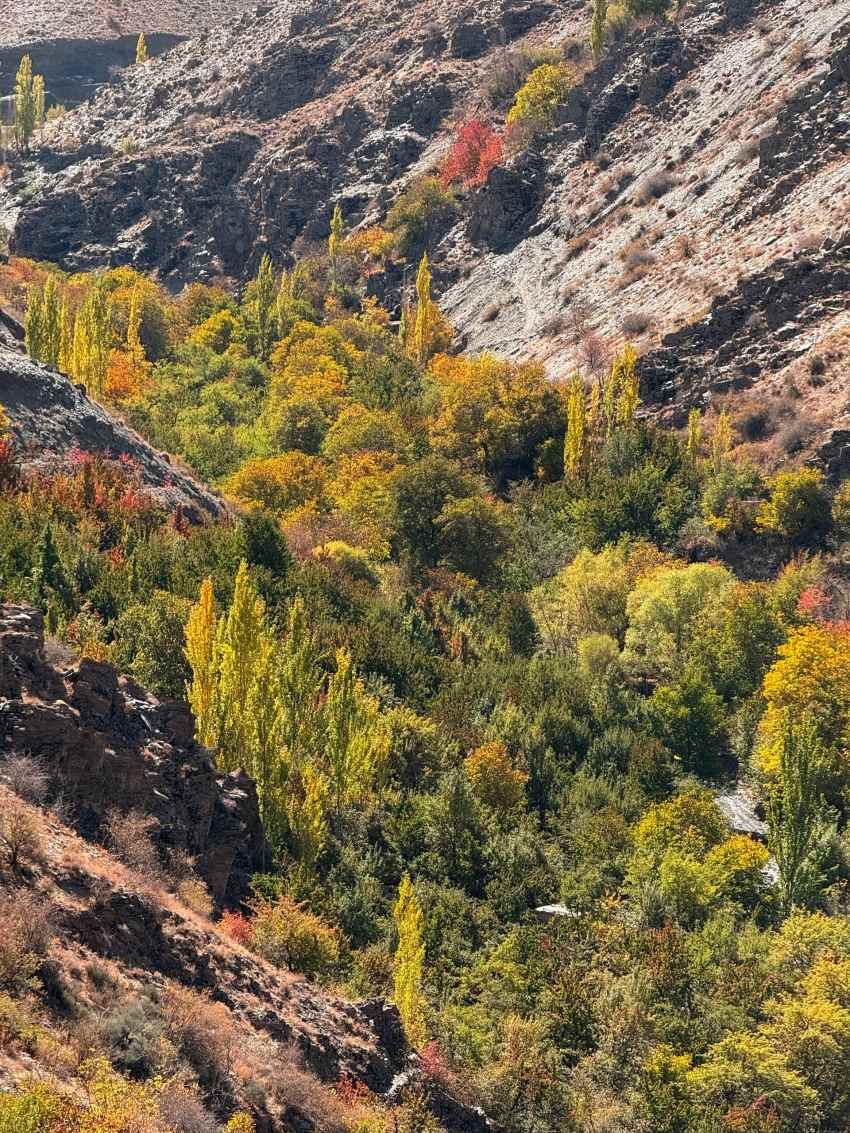 عکس/ طبیعت پاییزی روستای دهبار مشهد