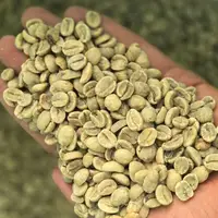 خرید دانه قهوه سبز عمده: کلید طلایی سودآوری و تمایز در صنعت رستری