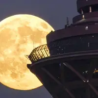 مقارنه ماه و میلاد