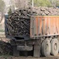 توقیف ۱۰ تُن چوب قاچاق در ماهنشان
