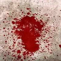 قتل عام 3 برادر در جریان اختلاف مالی 