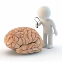 انواع تست‌های روانشناسی آنلاین در دکترساینا