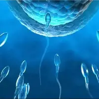 کنترل بارداری با سوئیچ مولکولی پنهان در اسپرم
