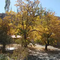 روزهای پاییزی در روستای توریستی مغان