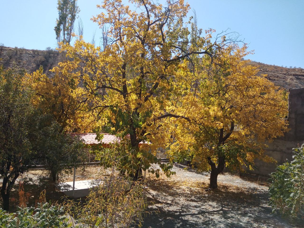 روزهای پاییزی در روستای توریستی مغان