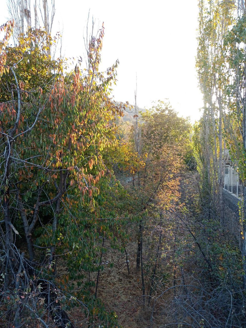 روزهای پاییزی در روستای توریستی مغان