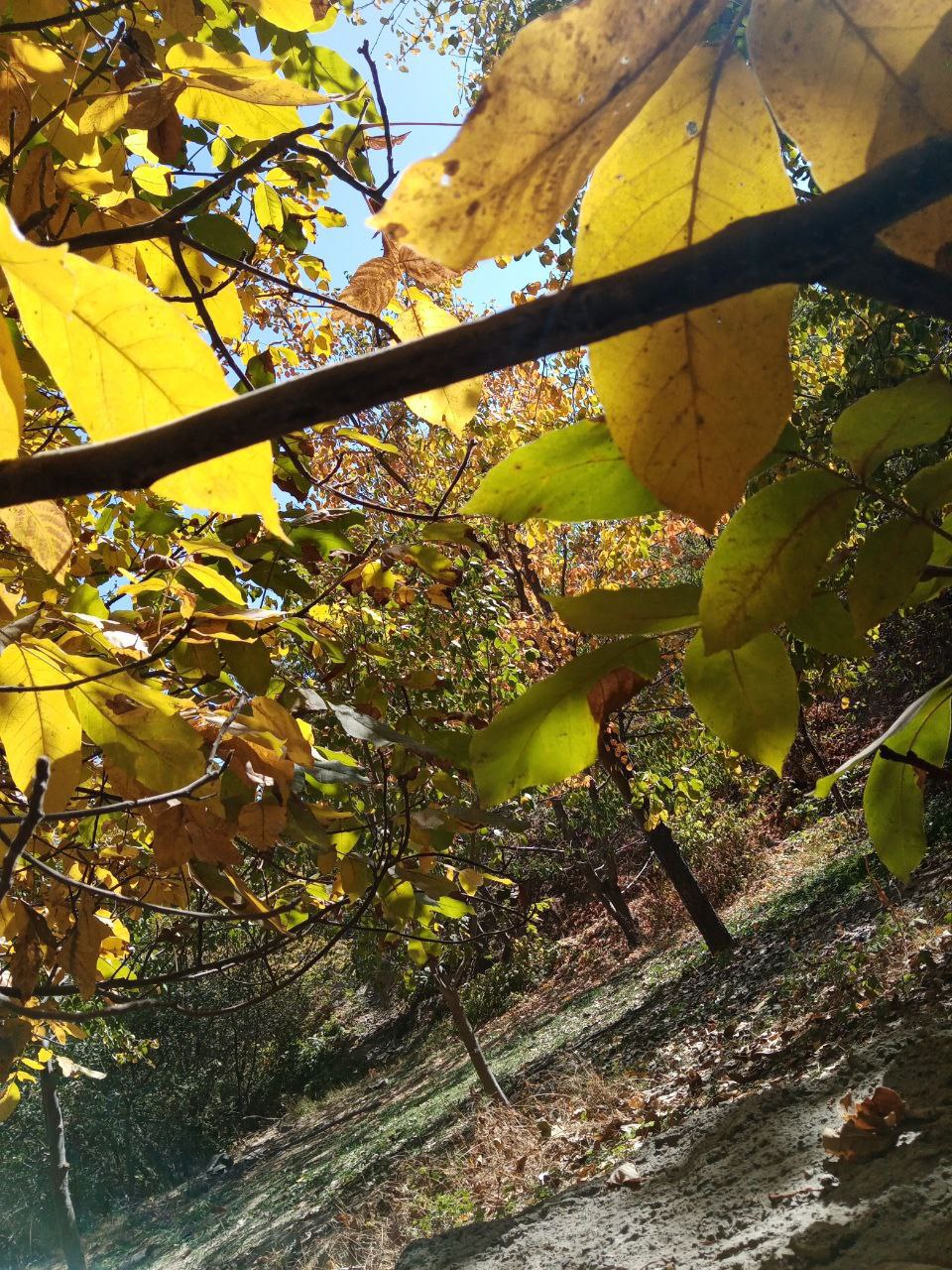 روزهای پاییزی در روستای توریستی مغان